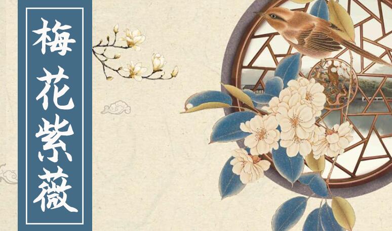 梅花紫薇