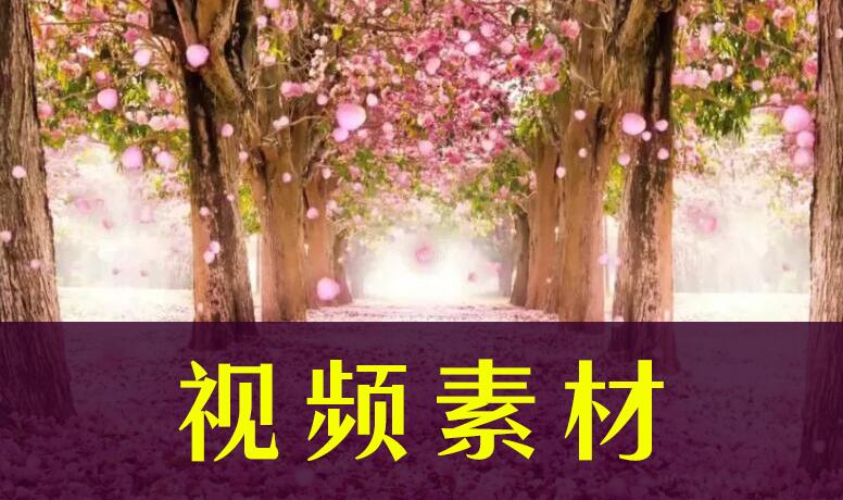 视频素材