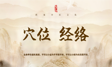 穴位经络