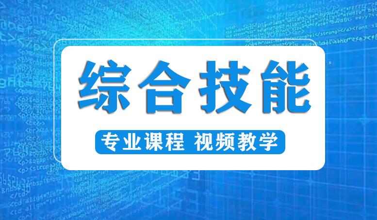 综合技能