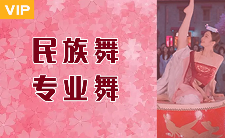 专业舞民族舞