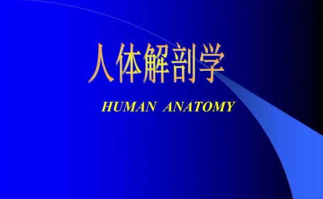 QQ截图20220606175651.jpg